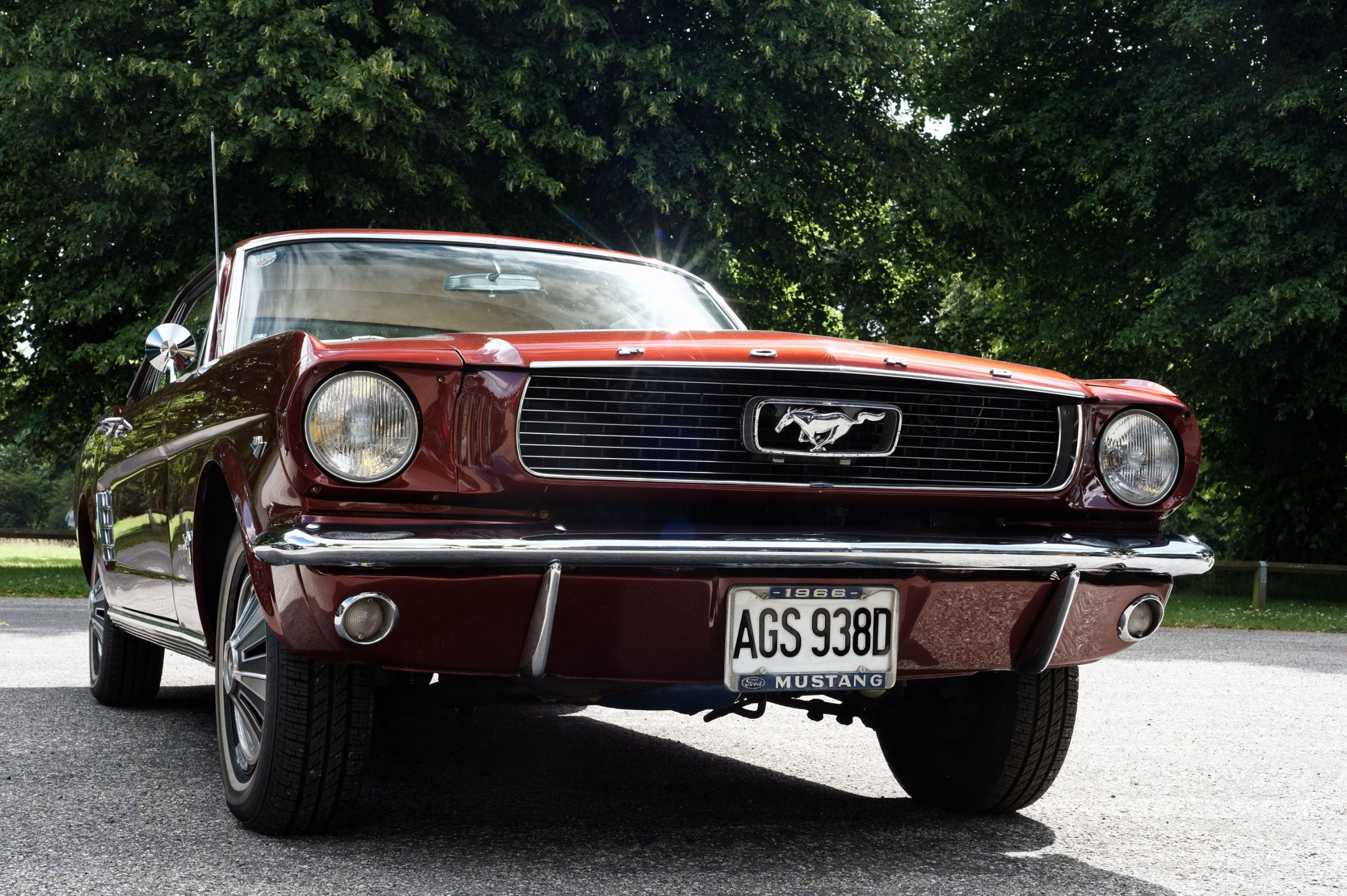 Ford Mustang 65 front.