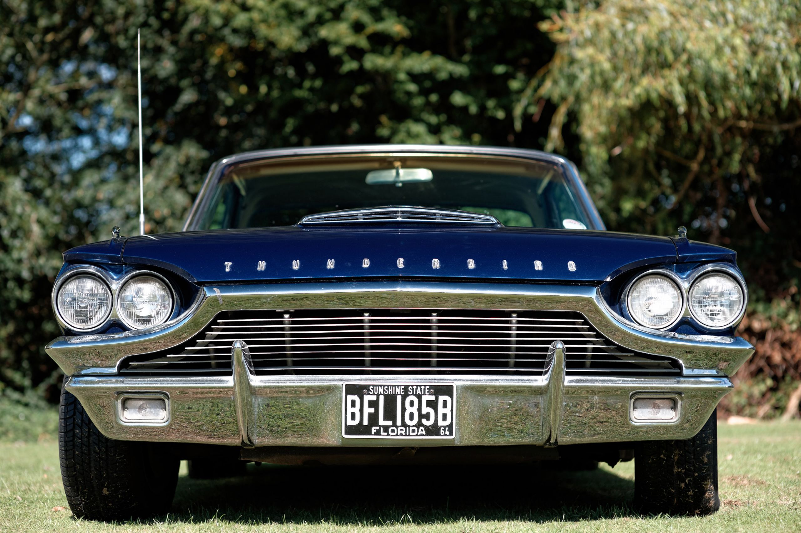 Ford Thunderbird 1964-1966