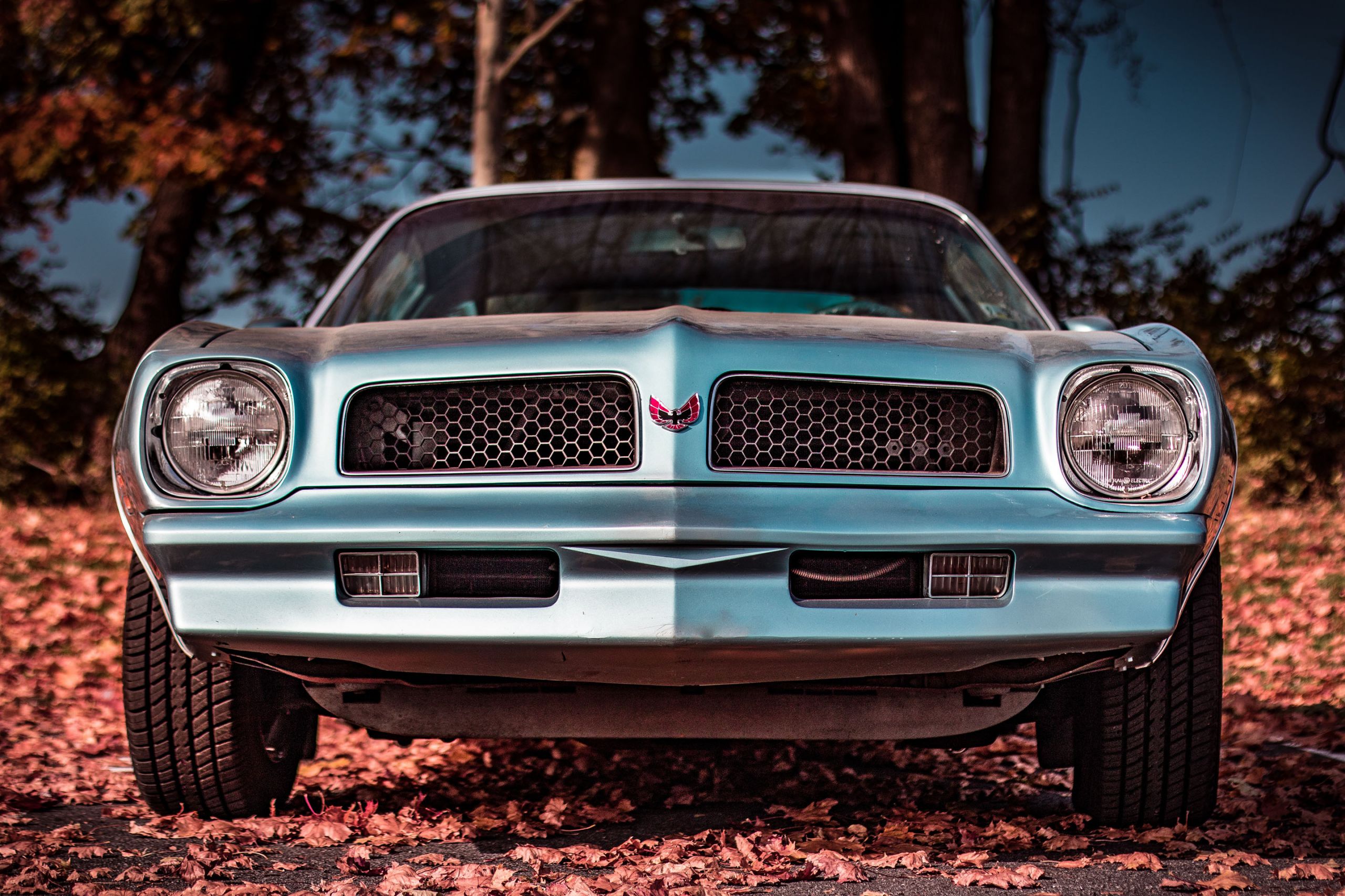 Pontiac Firebird 1970-1981